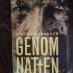 Genom Natten