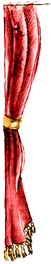 Scendamm