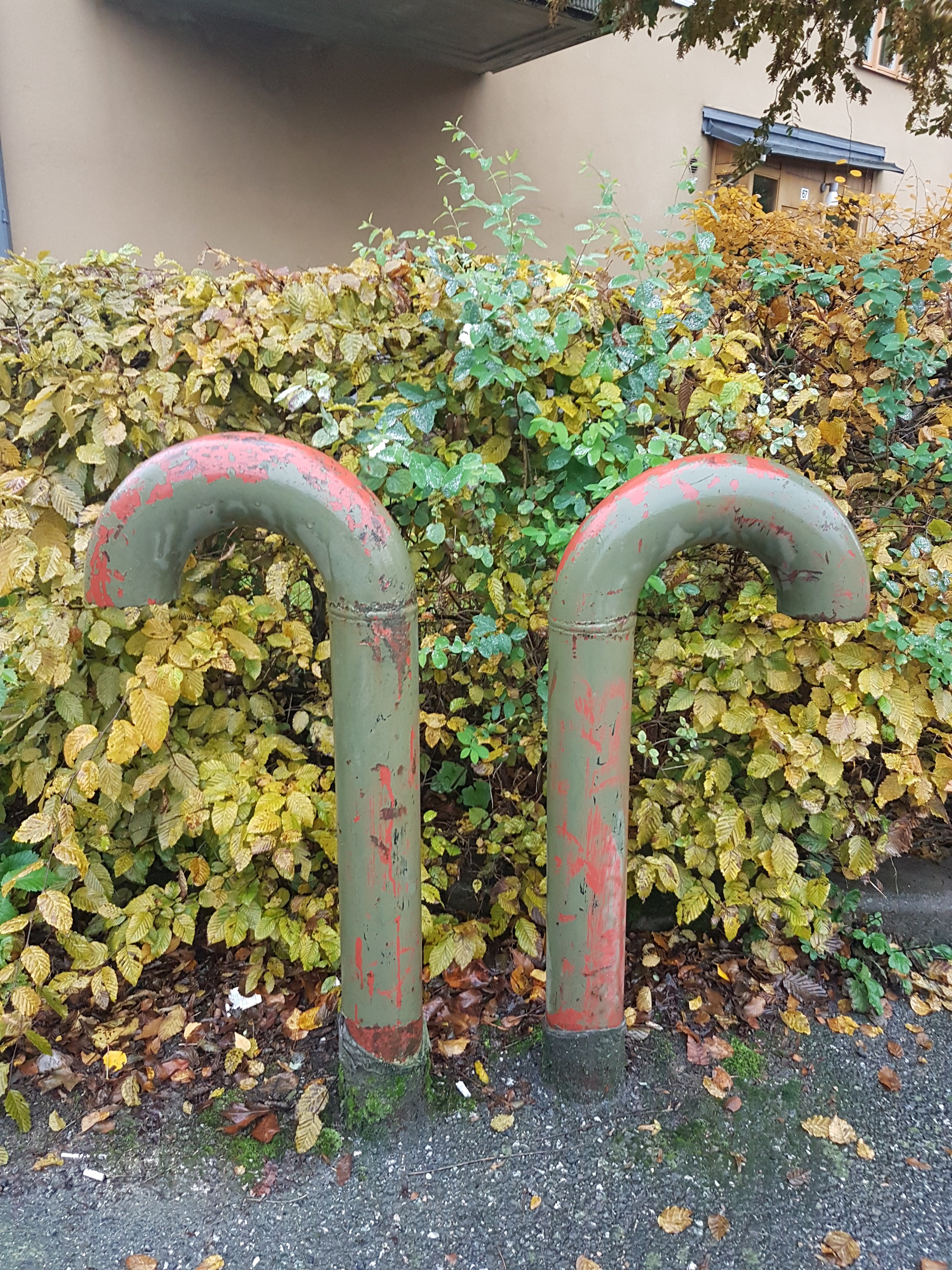 Osams
